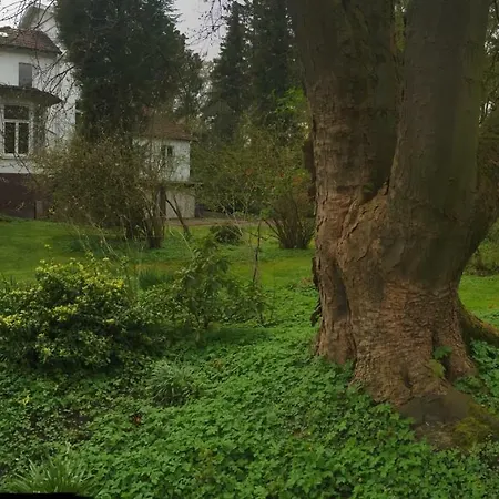Bed & Breakfast Muhlenbach